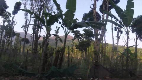 Back To The Plains From Kodaikanal | Tamil Nadu