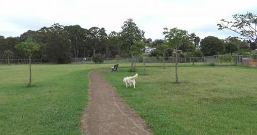Happy doggies running at the dog park