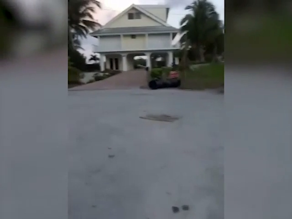 Woman arrested after posting video of her robbing home | Miami Herald