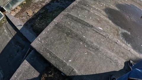 BIRDS ATTACK US ON ABANDONED ROOFTOP