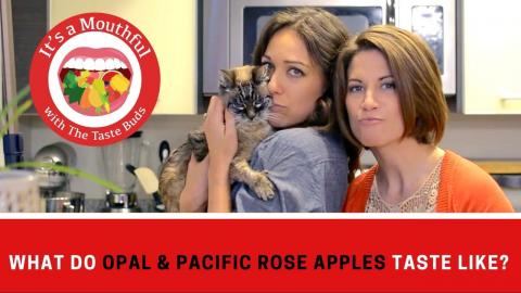 What do OPAL & ROSE APPLES taste like? (plus there's a ca...