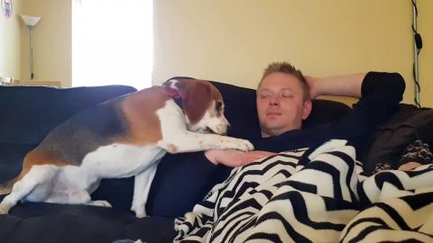  Needy Dog Wants Attention and Petting 