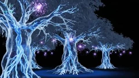 Relax & Sleep Deeply - Ethereal Spirit Forest - 4K Healin...