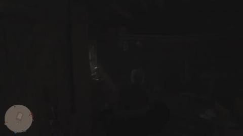 Sean MacGuire Blood Money Missions...in Red Dead Online