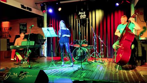 DARIA STEFAN - BEAUTIFUL LOVE - LIVE