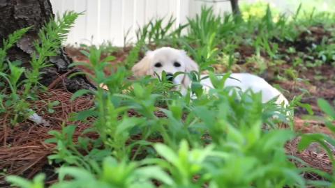 Trail Adventure With Lola