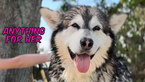 Watch As This Wild Boy Becomes Putty In Her Hands - Will ...
