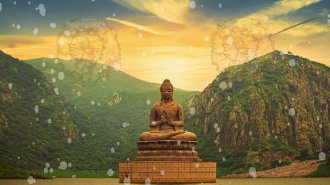 Indian Classical Violin Music Healing