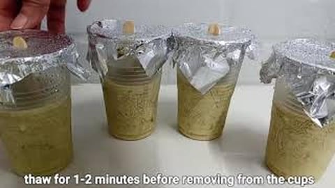 AVOCADO POPSICLE _ Filipino Recipe | Taste Buds PH