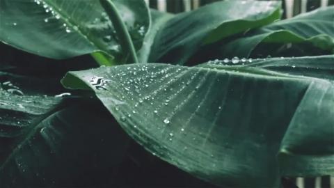 Satisfying Video With Relaxing Music that Will Calm & Com...