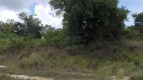 Beautiful Landscape | Tamil Nadu