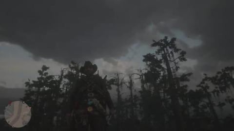 Force Spawn Glitch Explained For _New Players_ in Red Dea...