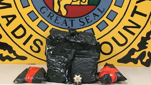 Around 6.6 pounds of marijuana seized in Madison County trafficking bust