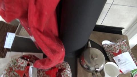 Husky's munching on Christmas gifts and helping baking