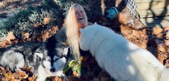 Hiding From My Husky & Malamute Playing Hide & Seek | Lon...