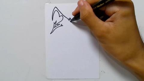 Drawing tatto v24 2024 shorts