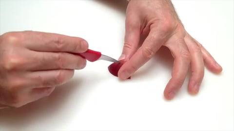 How To Make a Tree with an Apple