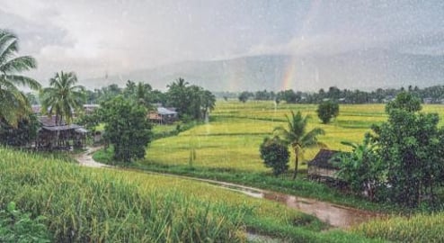 Relaxing Music & Rain Sounds - Beautiful Piano Music, Bac...