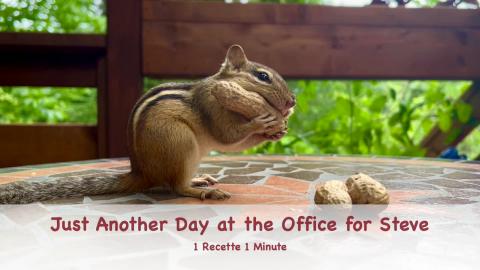 Just Another Day at the Office for Steve the Chipmunk
