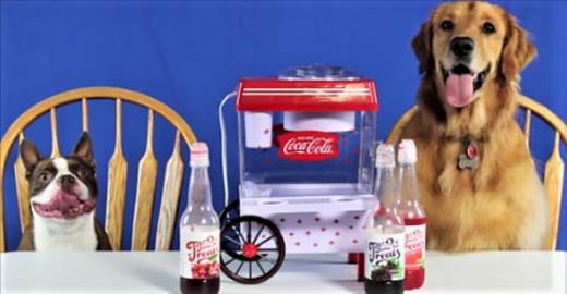 Talking Golden Retriever Dog & Boston Terrier Dog Have a ...