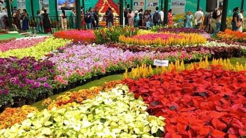Lalbagh Flower Show | Garden of Flowers | Bengaluru