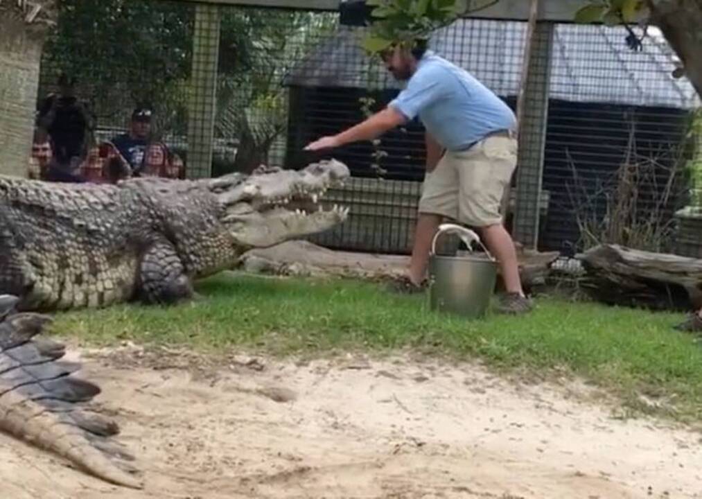 Dan por muerto a niño arrastrado al agua por un caimán en Orlando | El  Nuevo Herald