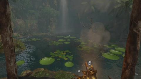 Sounds of the Amazon Rainforest 