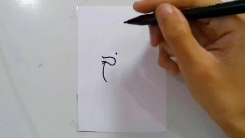 Drawing Graffiti Cartoon Chicken 5 shorts