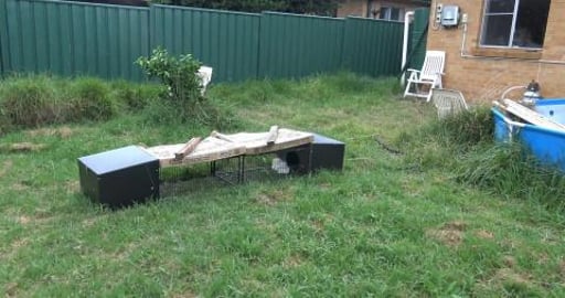 New hutches for the guinea pigs