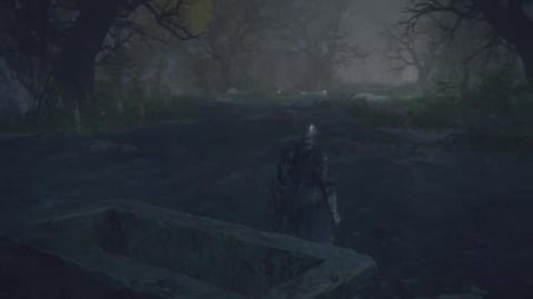 Elden Ring: Ant Skull Plate! Is AMAZING! & Can Block All ...