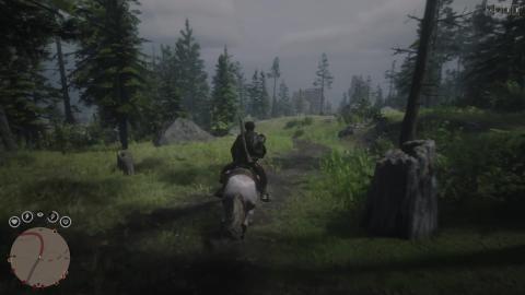 Red Dead Online Gameplay )