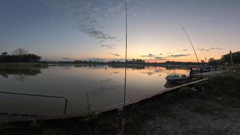 The Peaceful sounds of Nature 5am