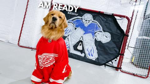 I Plays Hockey With Dad