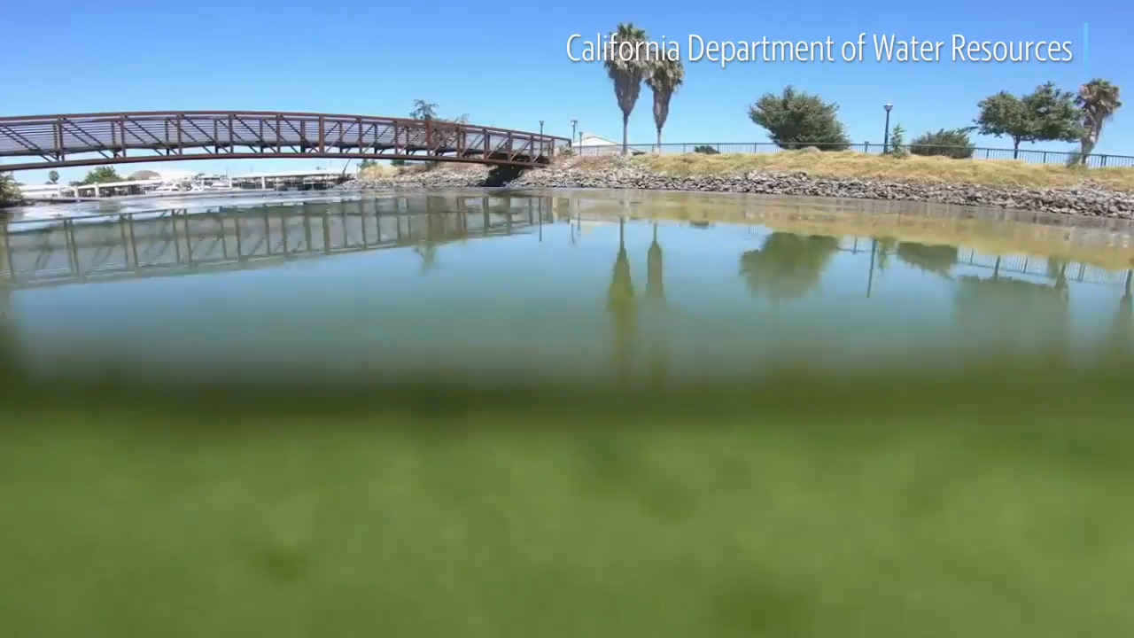 Closure of Palmer Lake is lifted after algae bloom weakens