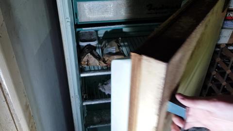 ABANDONED HOUSE, LOOK WHAT WE FOUND IN THE FRIDGE...