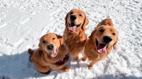 I Had a Family Play Day!