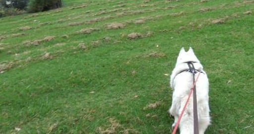 What's the next chapter for this old house