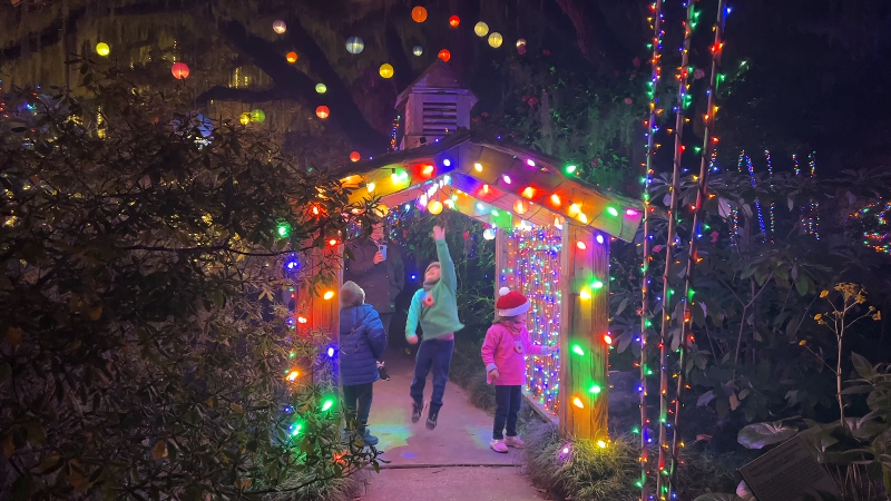 'Nights of a Thousand Candles' holiday lights at Brookgreen Gardens ...