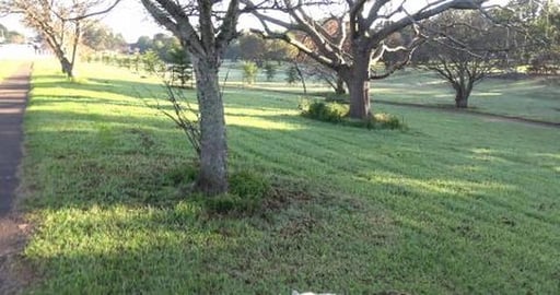 The story of Ester's bridge