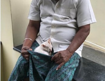 My Timmy Cat with my dad || Part - 13