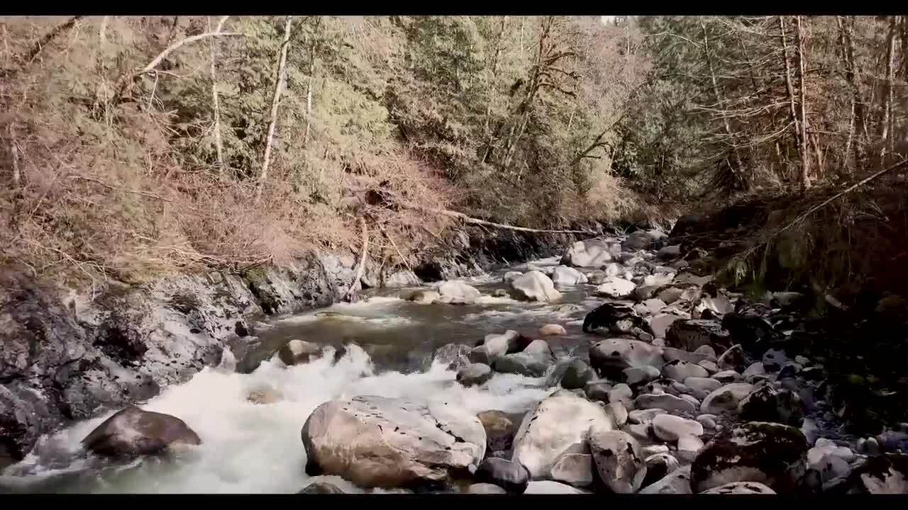 State gives 10.5 million to remove Nooksack diversion dam Bellingham