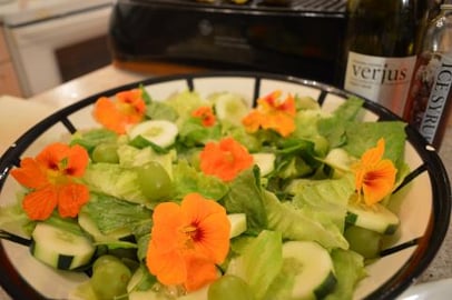 How to Make Romaine Salad with Cucumbers, Grapes & Nastur...