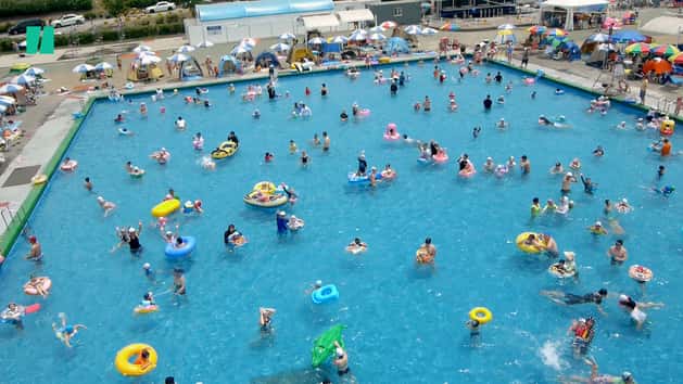 Fecal Parasite Found In Public Swimming Pools On The Rise Cdc Warns Huffpost Health