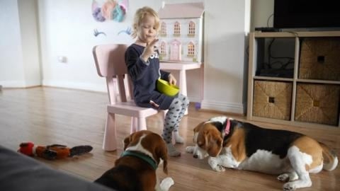 There is nothing truer in this world than love of a dog a...