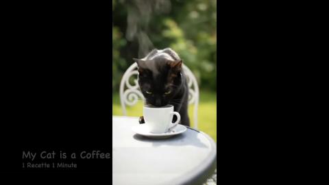 Cute Funny Animal Videos