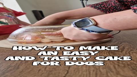 Pamper Your Pooch with This Easy Dog Cake Recipe