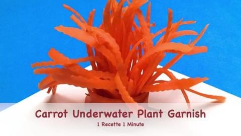 Carrot Underwater Plant / Food Decoration (shorts)