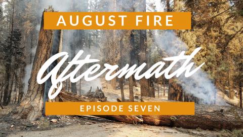 August Fire Aftermath - Root Traps Underfoot - Episode 7