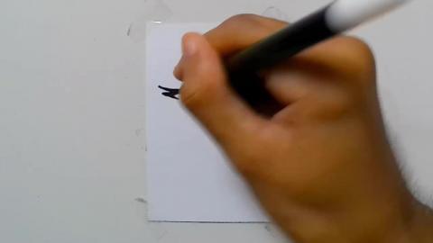 Drawing tatto v33 2024 shorts