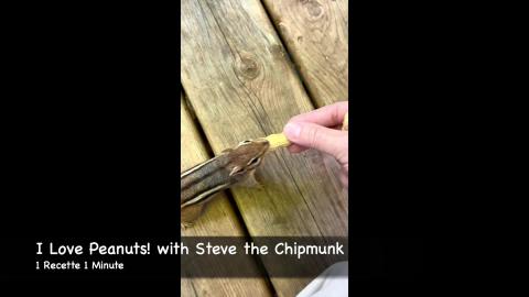 I Love Peanuts! with Steve the Chipmunk (shorts)